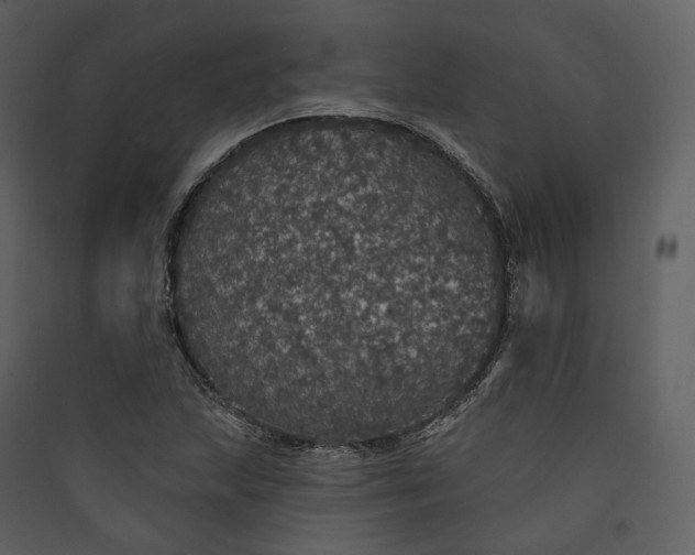 X0000089961215200707131530