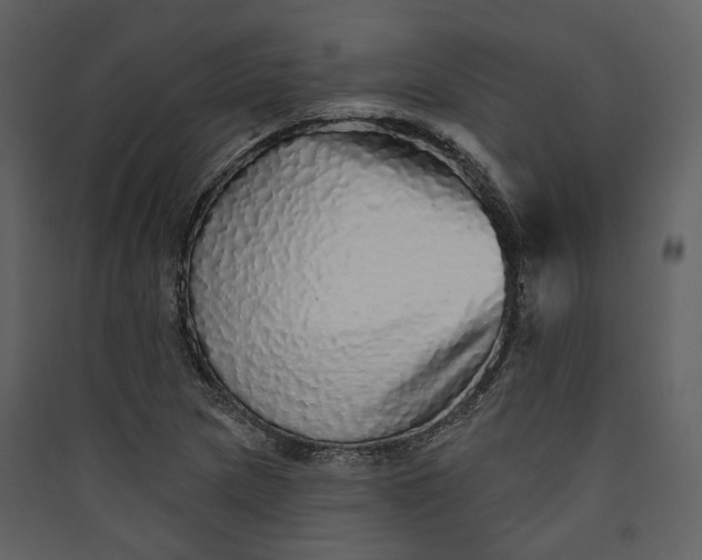 X0000089961217200707131530