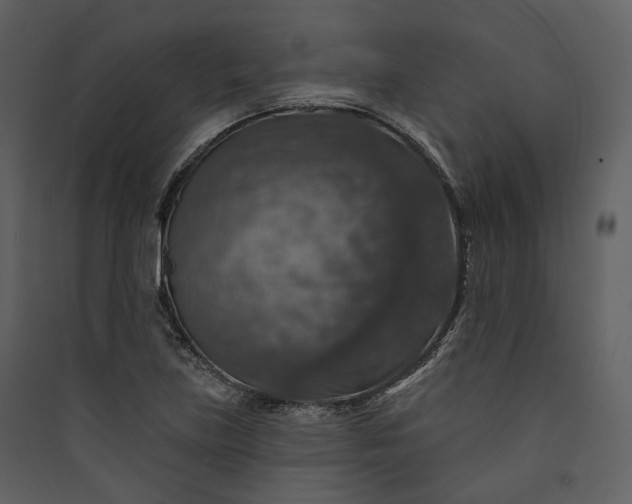 X0000089961219200707131530