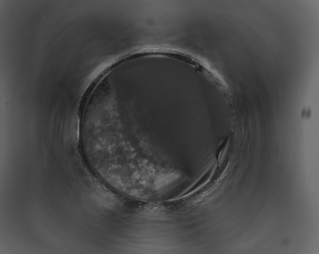 X0000089961221200707131530