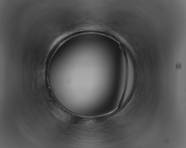 X0000089961222200707131530