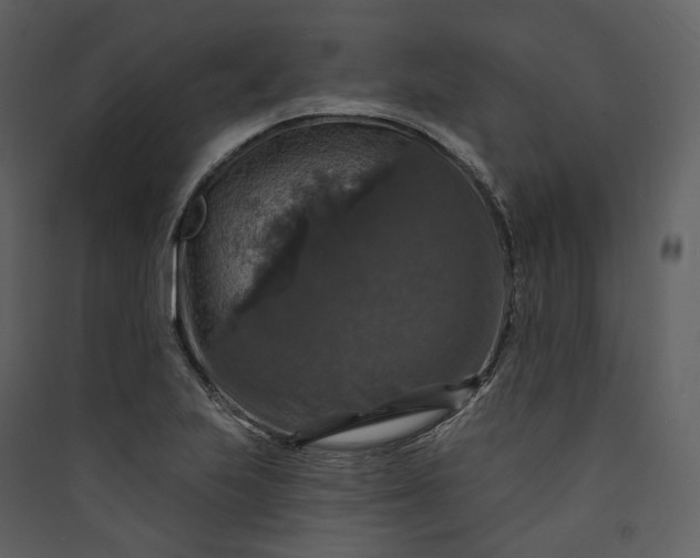 X0000089961223200707131530
