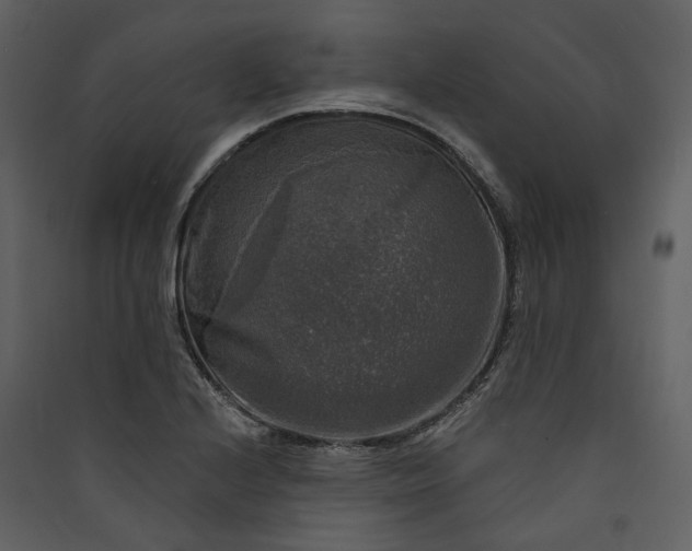 X0000089961224200707131530