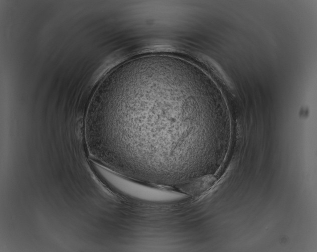 X0000089961225200707131530