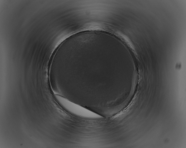 X0000089961226200707131530