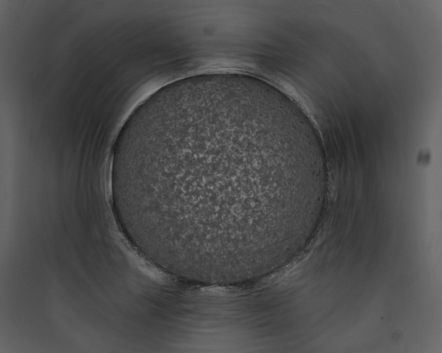 X0000089961227200707131530