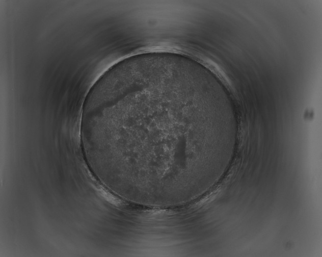 X0000089961228200707131530