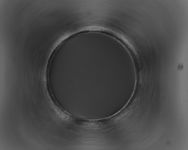 X0000089961229200707131530