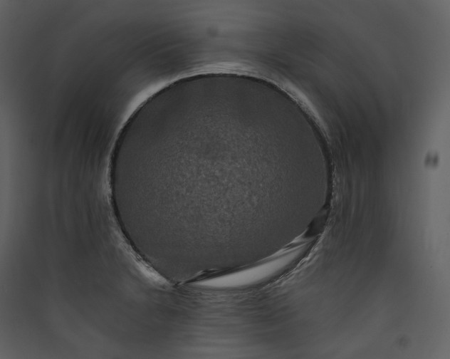 X0000089961230200707131530