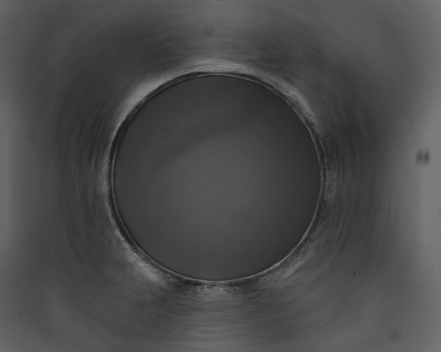 X0000089961231200707131530
