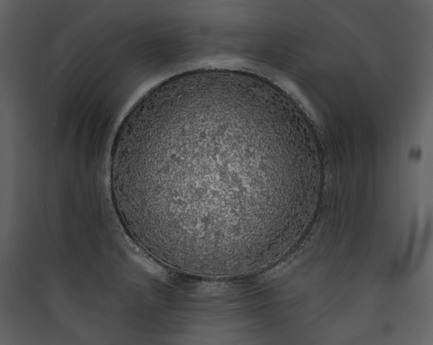 X0000089961232200707131530