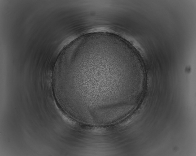 X0000089961233200707131530