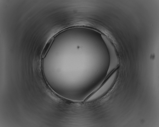 X0000089961234200707131530