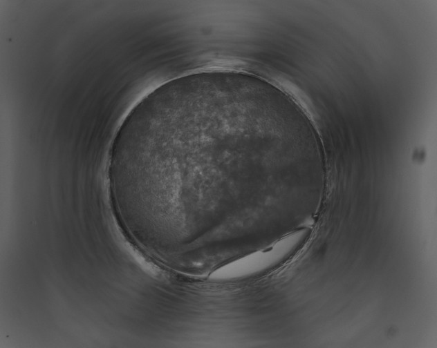 X0000089961235200707131530