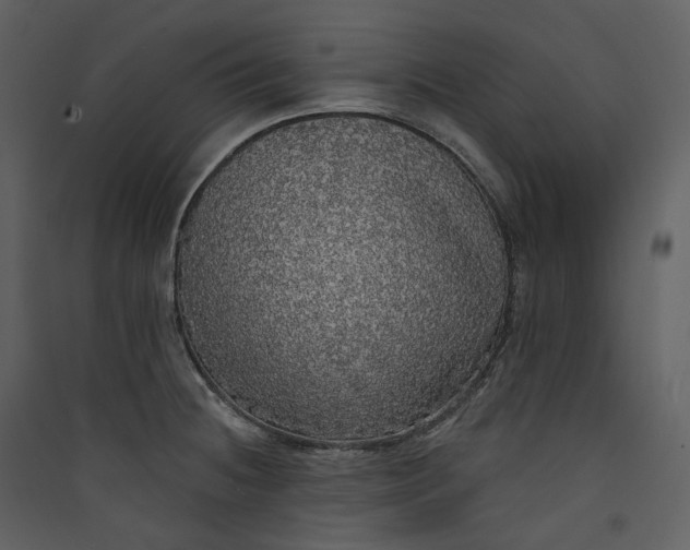 X0000089961236200707131530