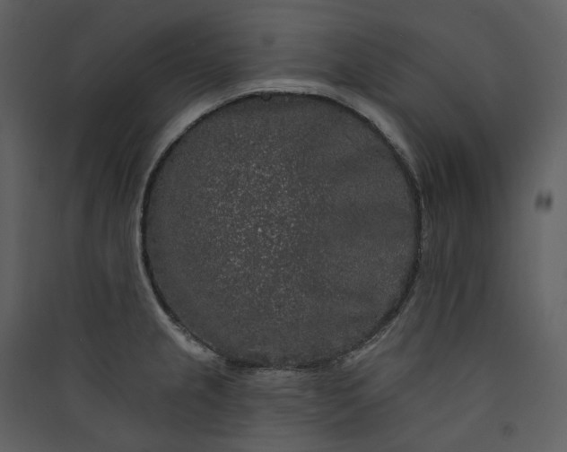 X0000089961237200707131530