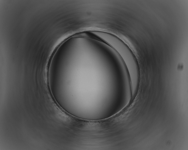 X0000089961238200707131530