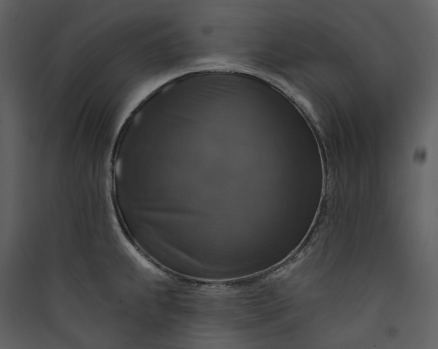 X0000089961239200707131530