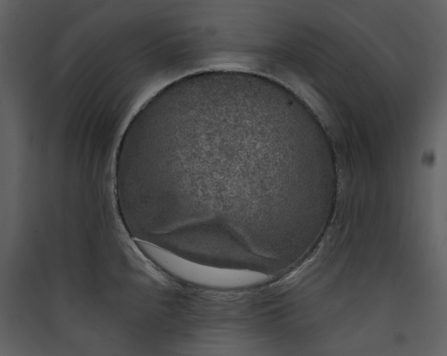 X0000089961240200707131530