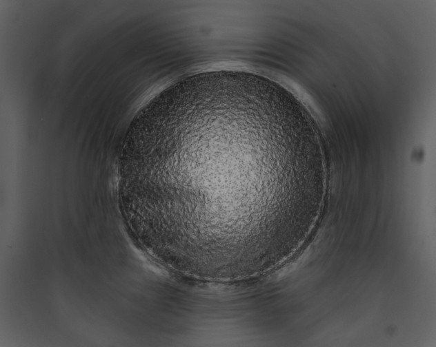 X0000089961241200707131530