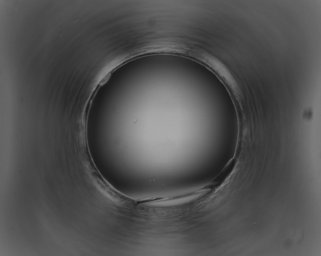 X0000089961242200707131530