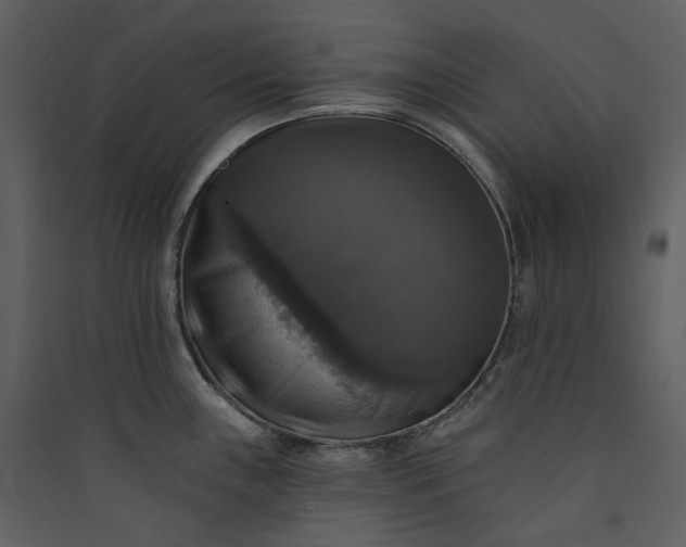 X0000089961243200707131530