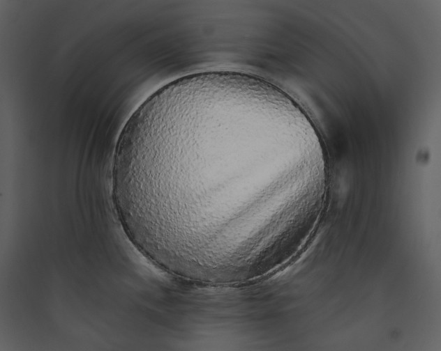 X0000089961244200707131530