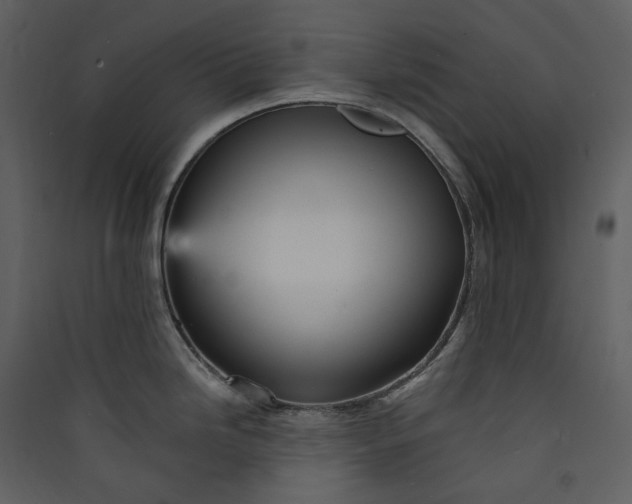 X0000089961246200707131530