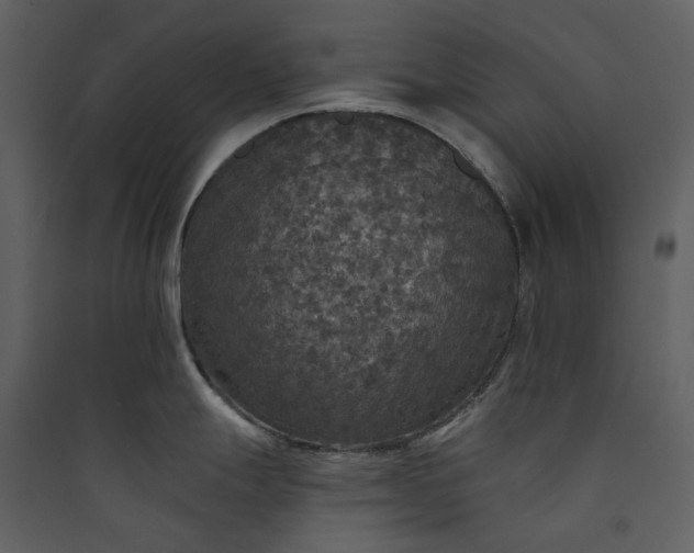 X0000089961247200707131530