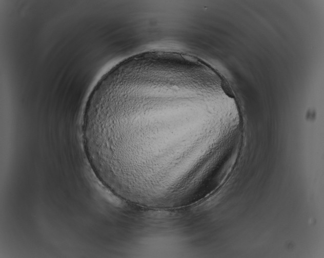 X0000089961248200707131530
