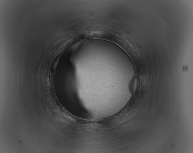 X0000089961250200707131530