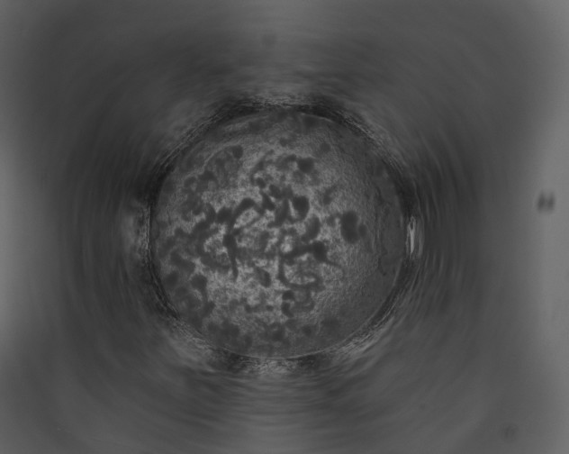 X0000089961251200707131530