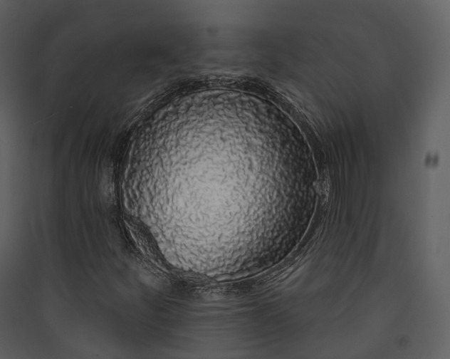 X0000089961252200707131530