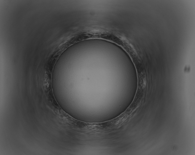 X0000089961253200707131530