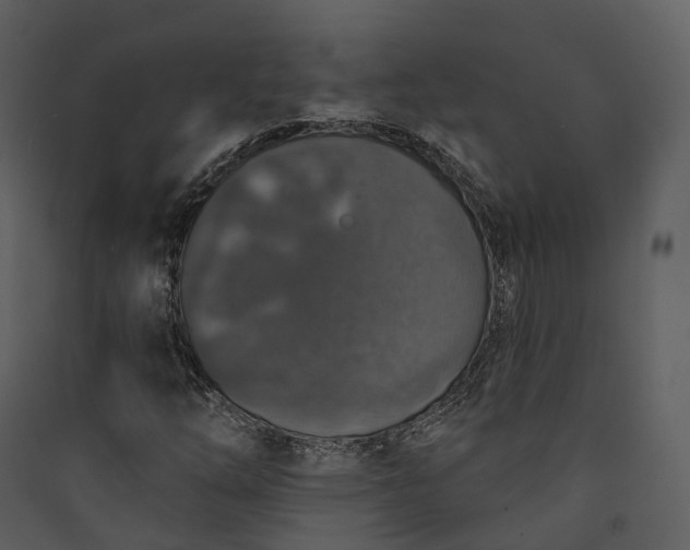 X0000089961254200707131530