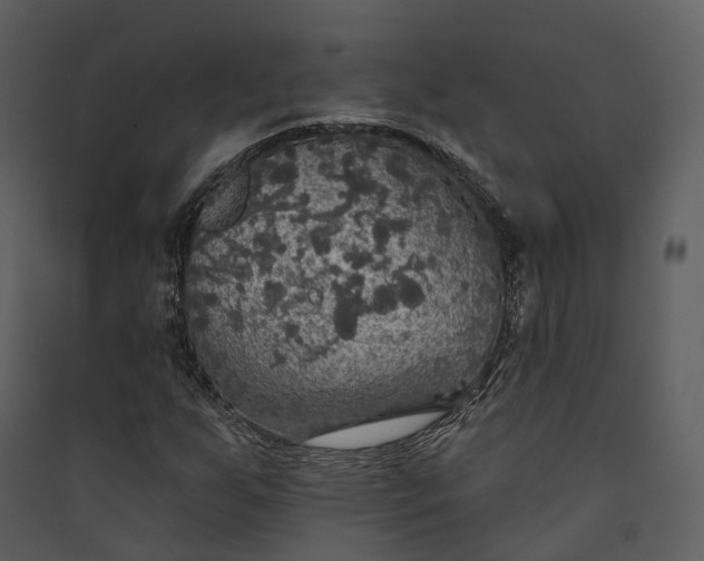 X0000089961255200707131530