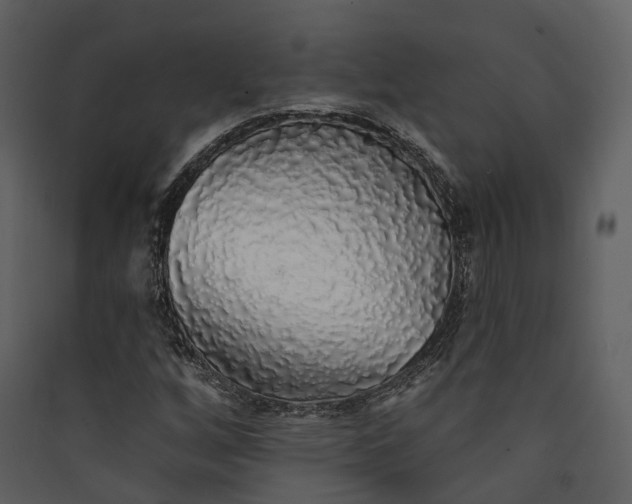 X0000089961256200707131530