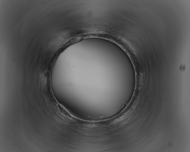 X0000089961257200707131530