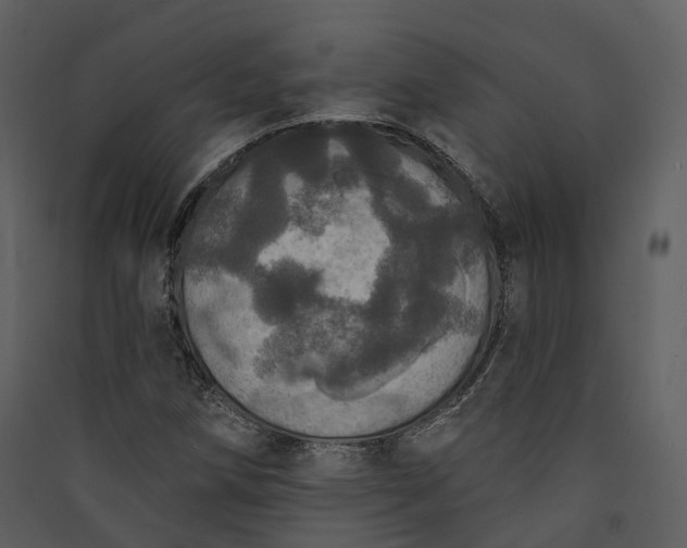 X0000089961258200707131530