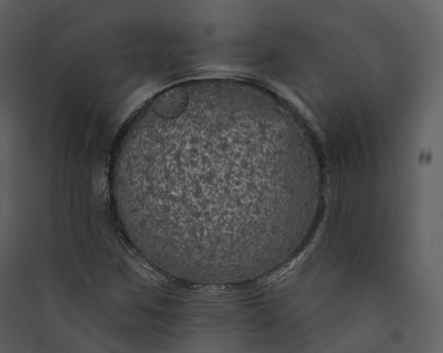 X0000089961259200707131530