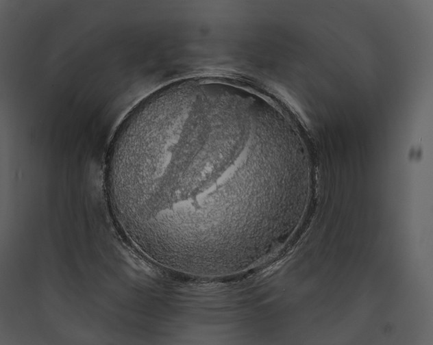 X0000089961260200707131530