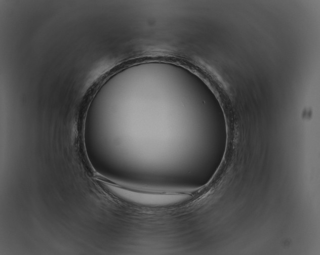 X0000089961261200707131530