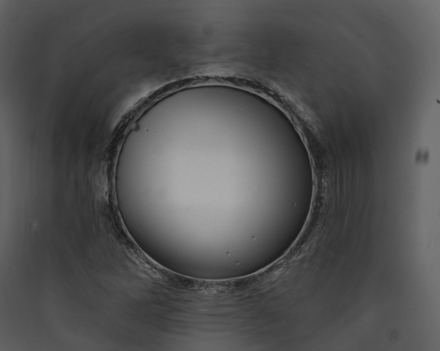 X0000089961262200707131530