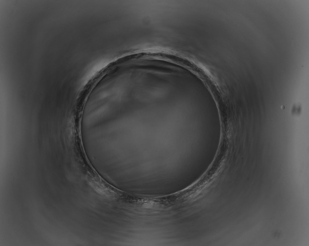 X0000089961263200707131530