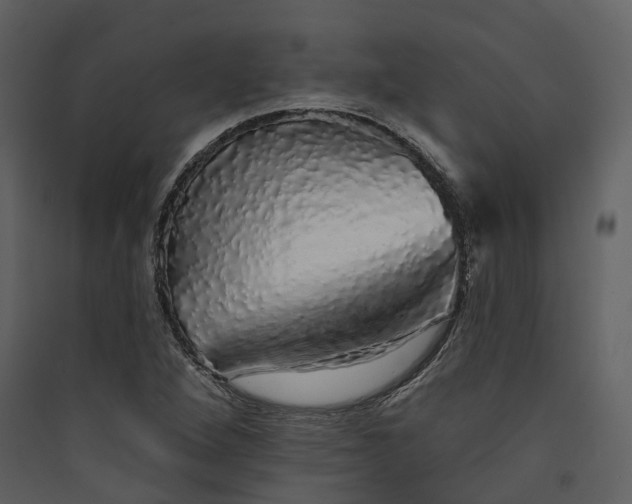 X0000089961264200707131530