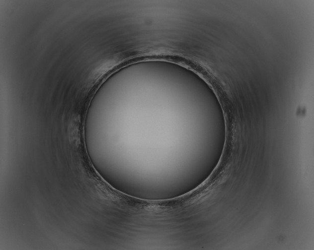 X0000089961265200707131530