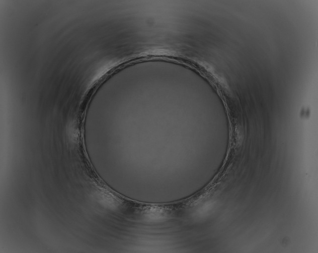 X0000089961266200707131530