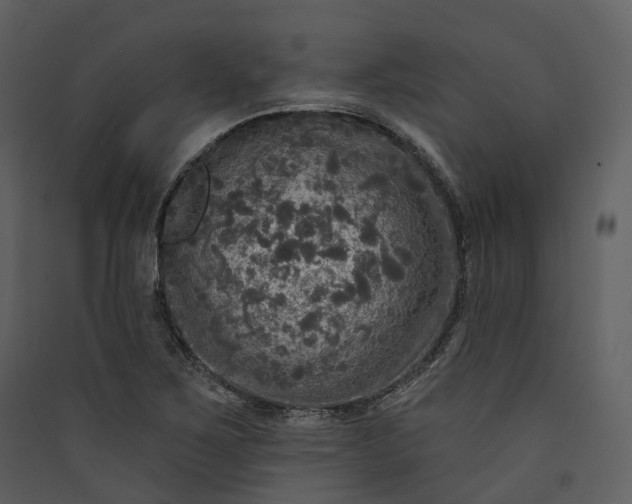 X0000089961267200707131530