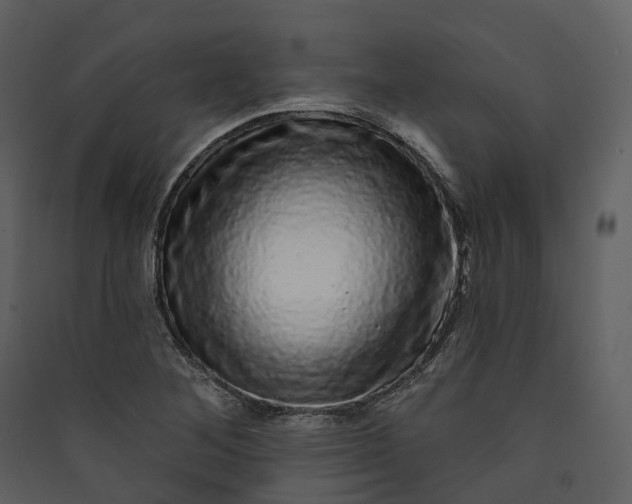 X0000089961268200707131530