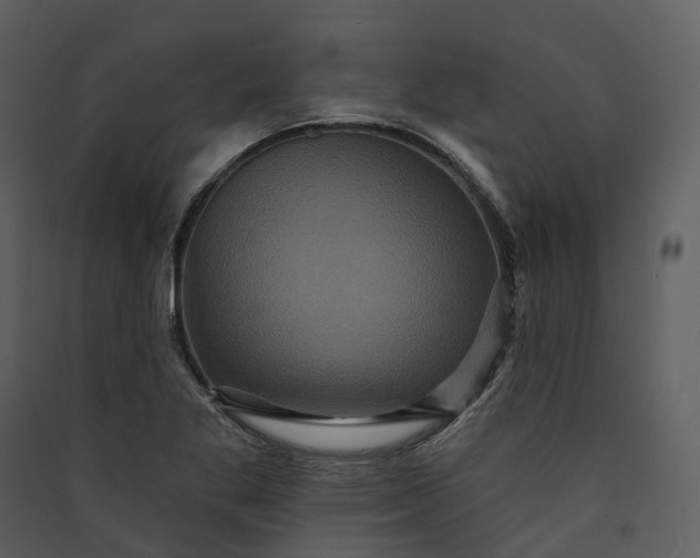 X0000089961269200707131530